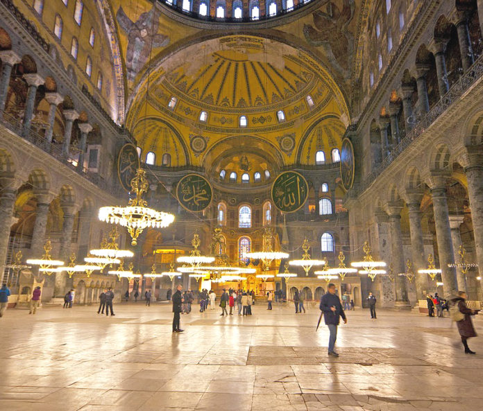 aja-sofija-3_595254a1e0aa5-696x593.jpg