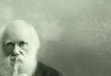 Д. БОКАН: Дарвинизам – духовни тероризам!