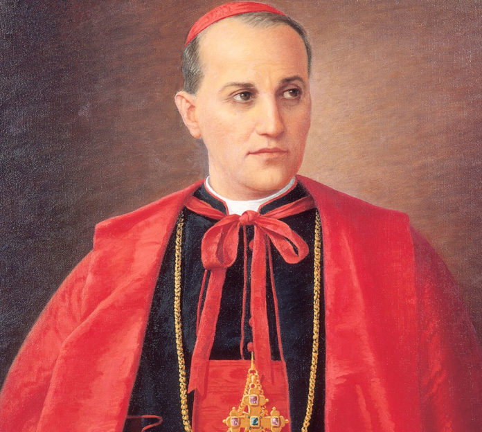 P22-Stepinac
