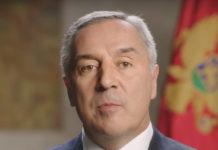 МИЛОВЕ ПРЉАВЕ ШТАЛЕ: Корак од седам година!