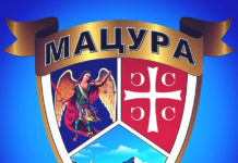 Генетичко поријекло Мацура